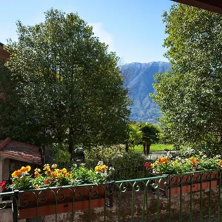 Nido Del
