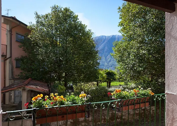 Nido Del